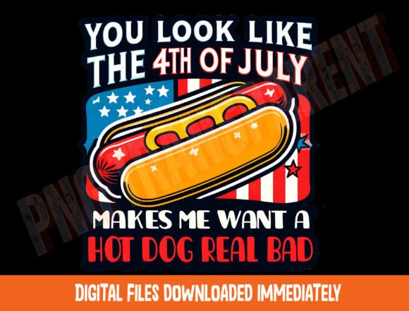 Retro 4th of July Design for Embroidery